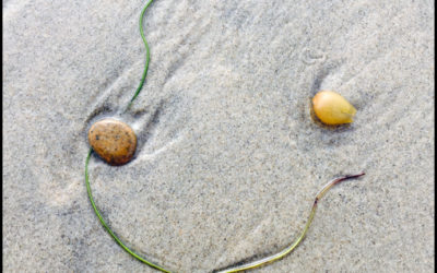 Smile in the seaweed