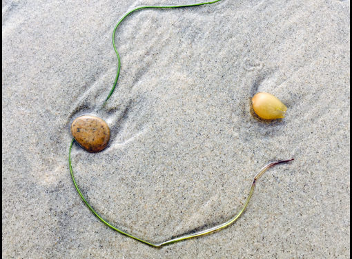 Smile in the seaweed