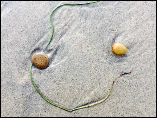 Smile in the seaweed