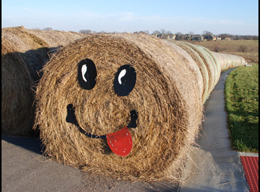 A fun hay fever to catch… smiley barrels in the field